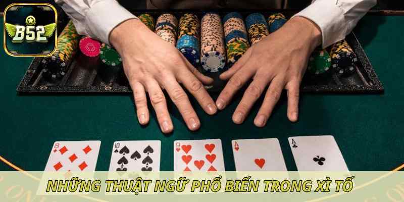 Những thuật ngữ phổ biến trong xì tố