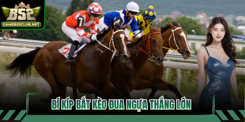Bí kíp bắt kèo đua ngựa thắng lớn
