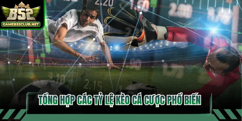 Tổng hợp các tỷ lệ kèo cá cược phổ biến